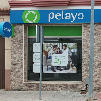 seguros Oficina Seguros Pelayo