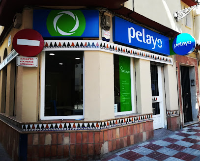 seguros Oficina Seguros Pelayo