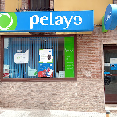 seguros Oficina Seguros Pelayo